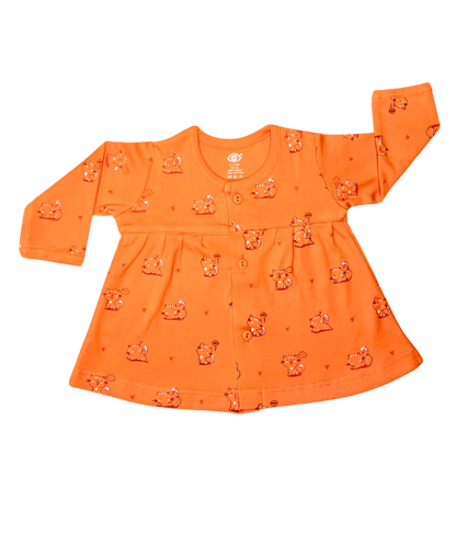 Cute Print Baby Frock Full Sleeve Pack of 2 (Assorted)