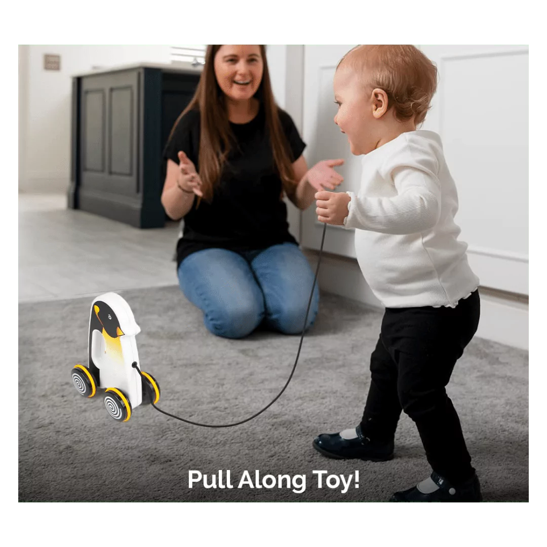 Pengo The Penguin Pull Toy