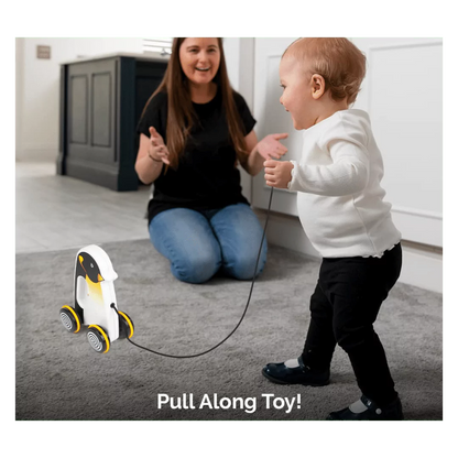 Pengo The Penguin Pull Toy