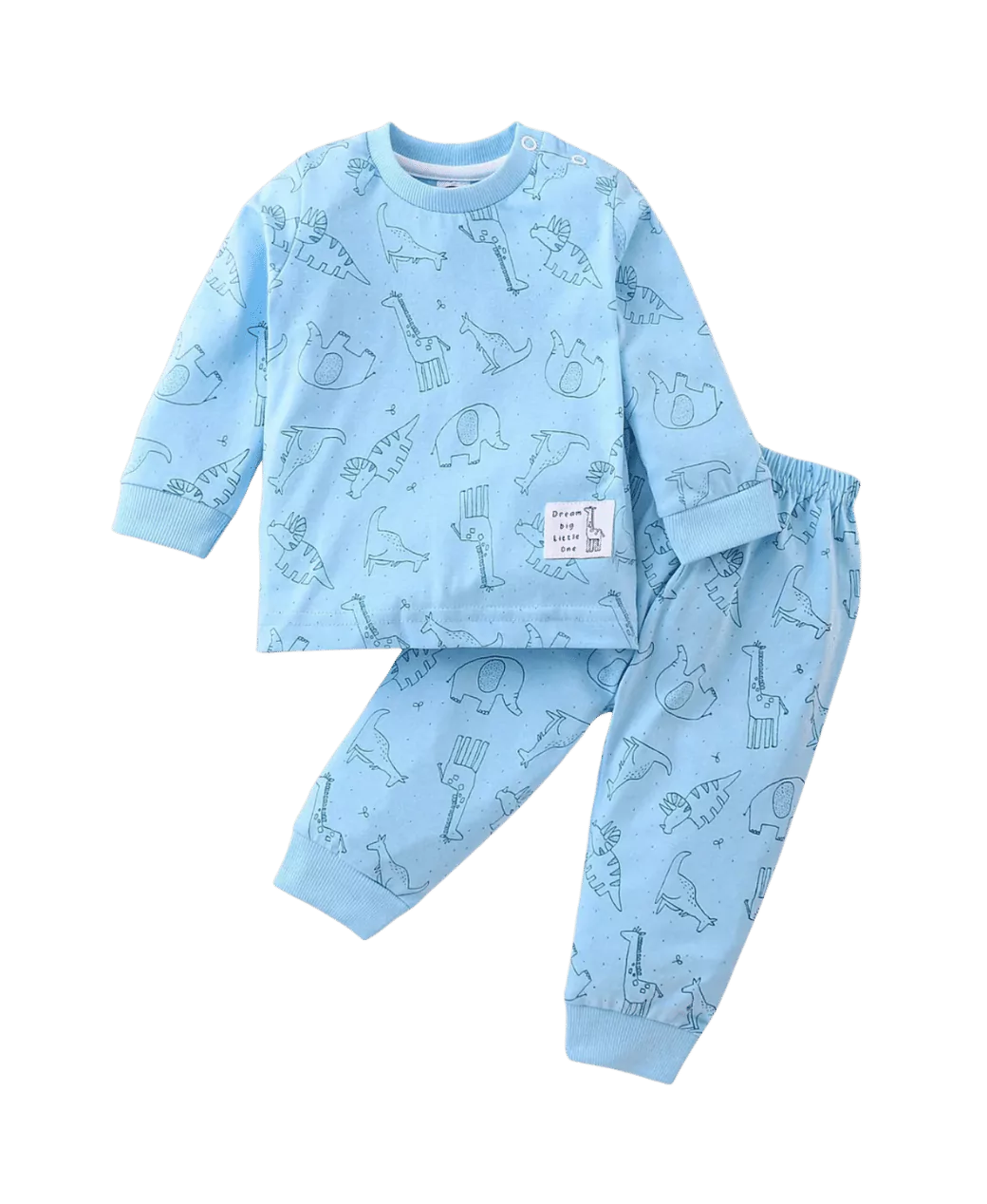 Ele Dino Full Sleeve Tshirt and Leggings