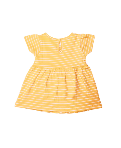 Stripe Cotton Frock Half Sleeve (Assorted)