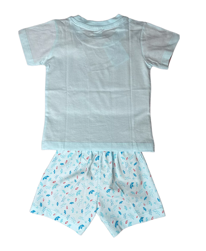 Teddie Half Sleeve Tshirt and Shorts Set